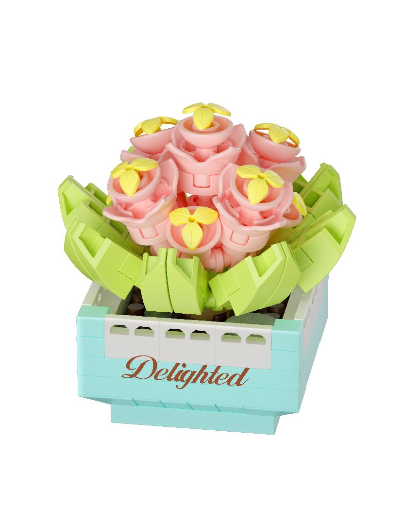 Succulent potted plants Building Kit