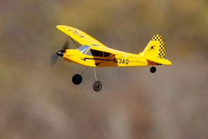 Sport Cub 400 Micro 3-Channel RTF Airplane